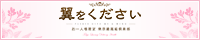 fo[wXuTsubasa ~E΁E~v